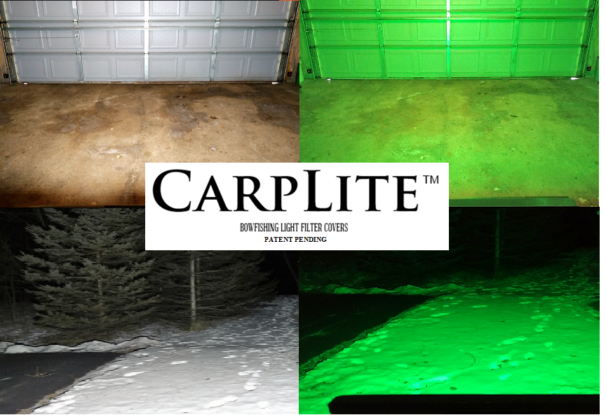 100W NEW GEN LED HPS FILTERED – CarpLite